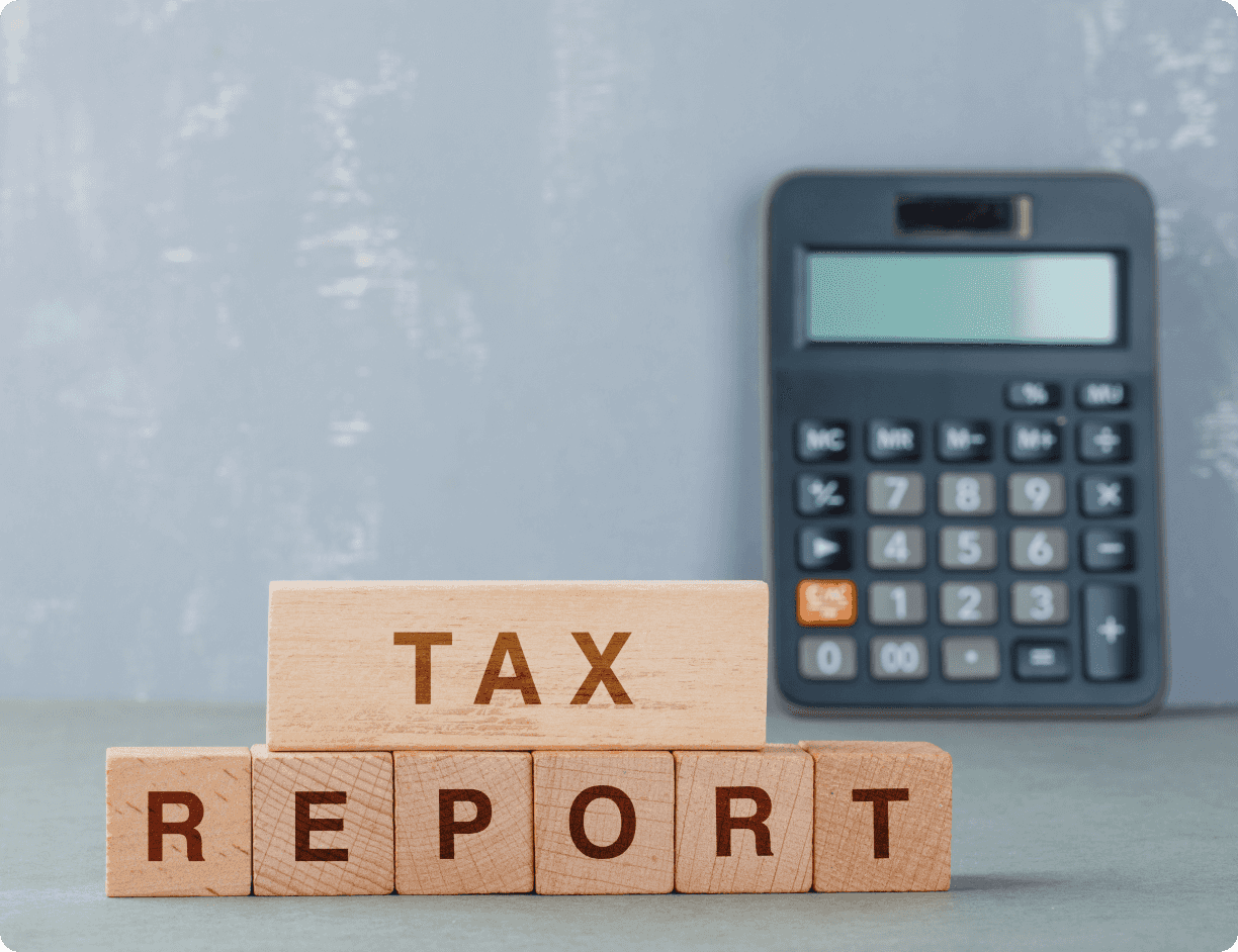 Tax Report Blocks